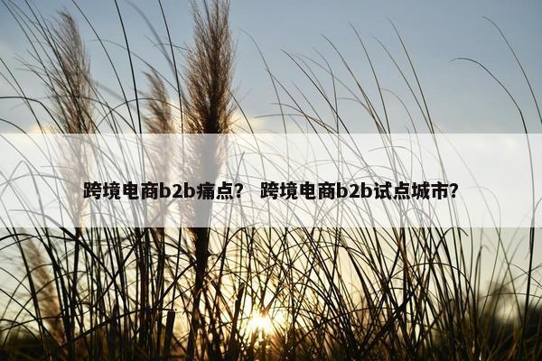 跨境电商b2b痛点？ 跨境电商b2b试点城市？