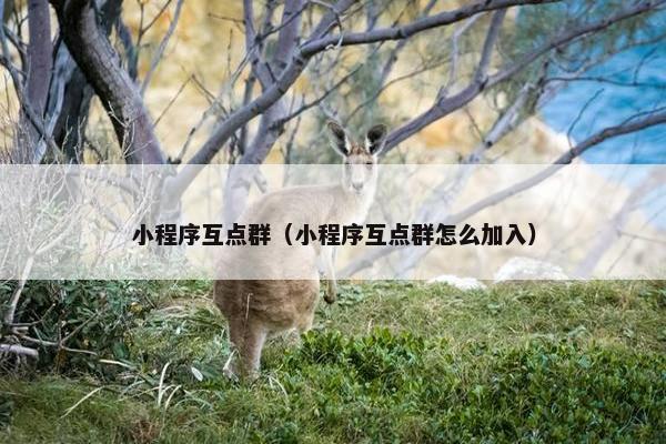 小程序互点群（小程序互点群怎么加入）