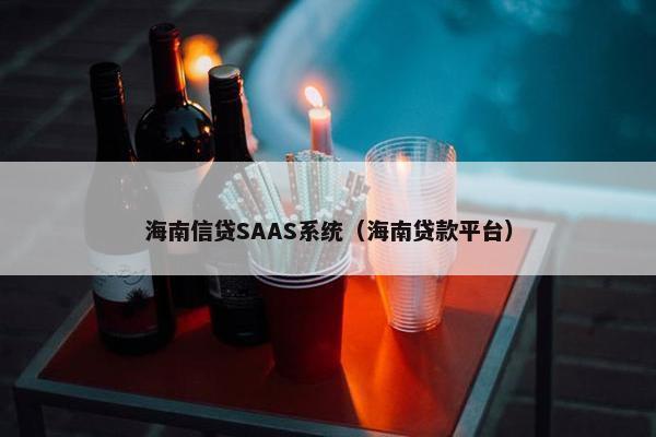 海南信贷SAAS系统（海南贷款平台）
