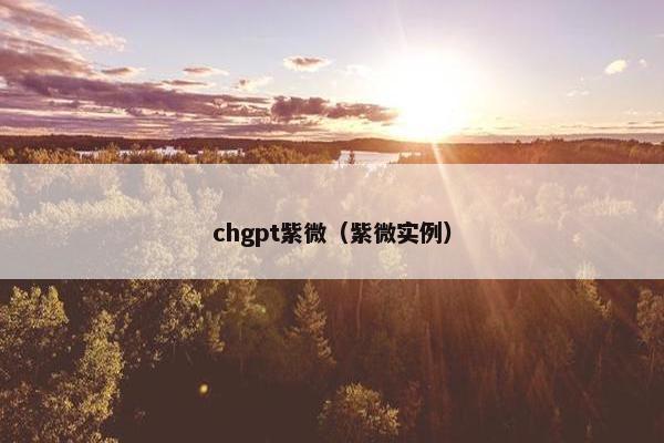 chgpt紫微（紫微实例）