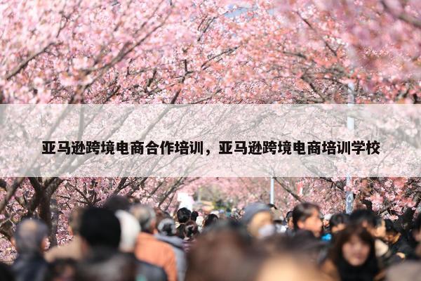 亚马逊跨境电商合作培训，亚马逊跨境电商培训学校