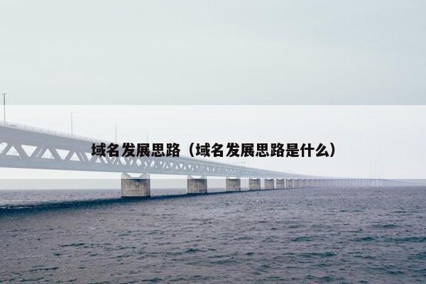 域名发展思路（域名发展思路是什么）