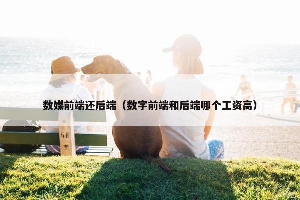 数媒前端还后端（数字前端和后端哪个工资高）