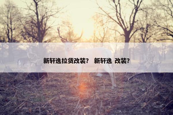 新轩逸拉货改装？ 新轩逸 改装？