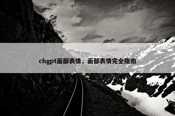 chgpt面部表情，面部表情完全指南