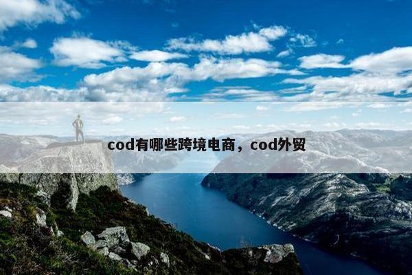 cod有哪些跨境电商，cod外贸