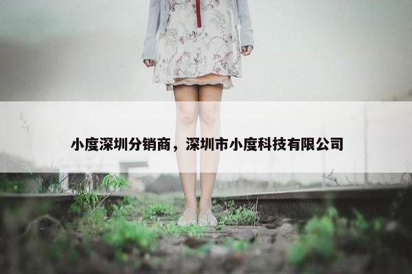 小度深圳分销商，深圳市小度科技有限公司