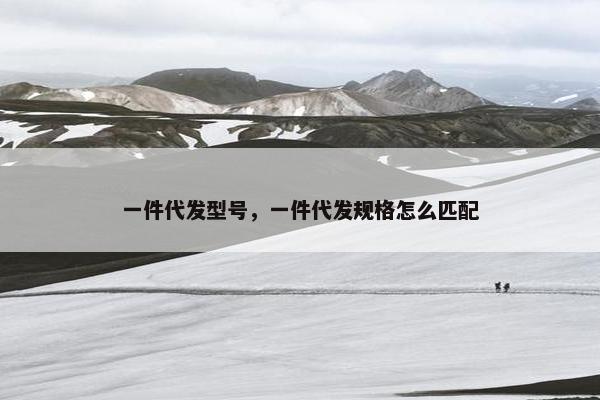 一件代发型号，一件代发规格怎么匹配