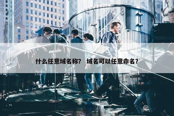 什么任意域名称？ 域名可以任意命名？