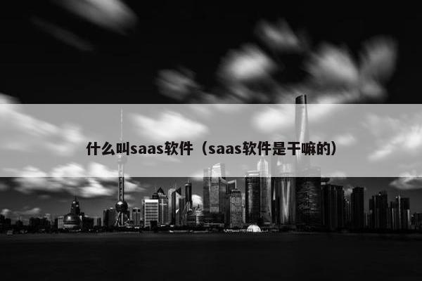 什么叫saas软件（saas软件是干嘛的）