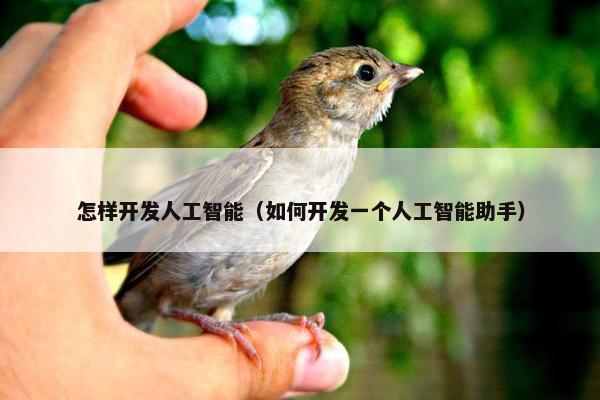 怎样开发人工智能（如何开发一个人工智能助手）