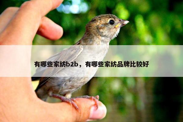 有哪些家纺b2b，有哪些家纺品牌比较好