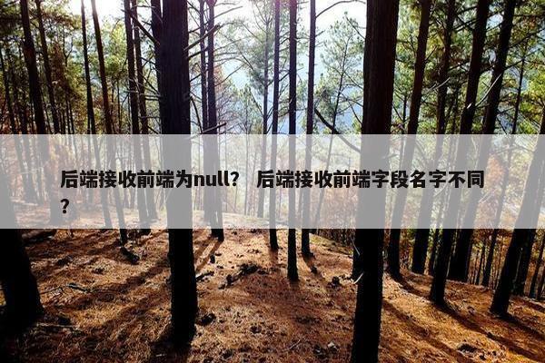 后端接收前端为null？ 后端接收前端字段名字不同？