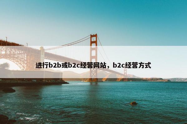 进行b2b或b2c经营网站，b2c经营方式