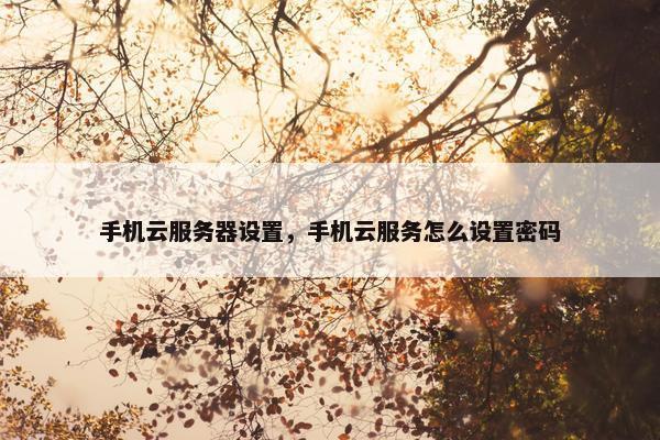 手机云服务器设置，手机云服务怎么设置密码