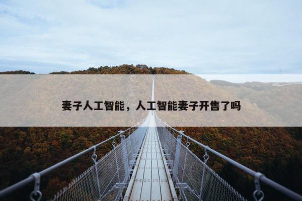妻子人工智能，人工智能妻子开售了吗