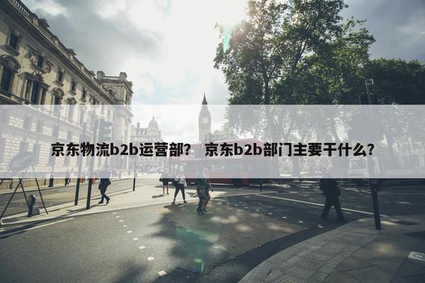 京东物流b2b运营部？ 京东b2b部门主要干什么？