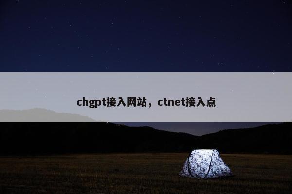 chgpt接入网站，ctnet接入点