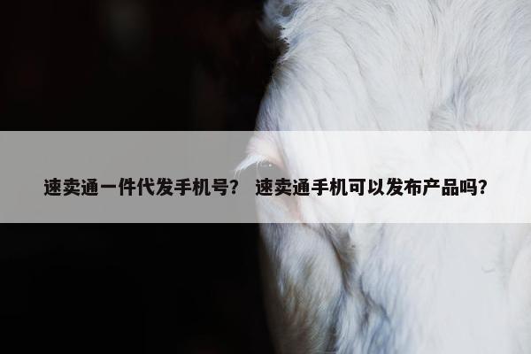 速卖通一件代发手机号？ 速卖通手机可以发布产品吗？