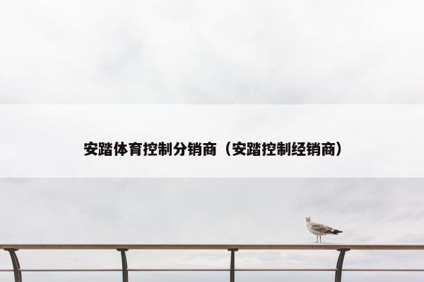 安踏体育控制分销商（安踏控制经销商）