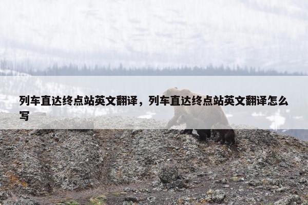 列车直达终点站英文翻译，列车直达终点站英文翻译怎么写