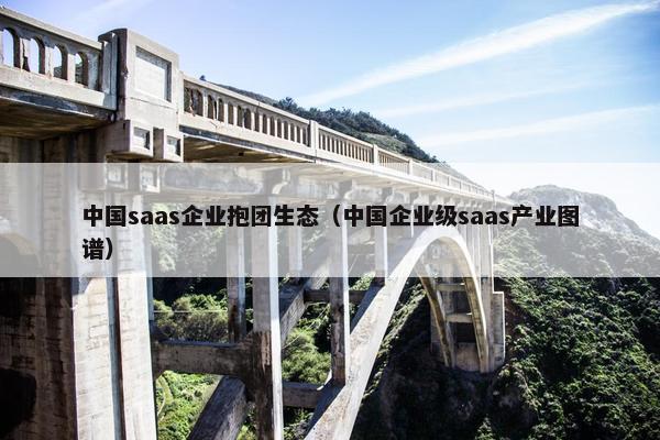 中国saas企业抱团生态（中国企业级saas产业图谱）