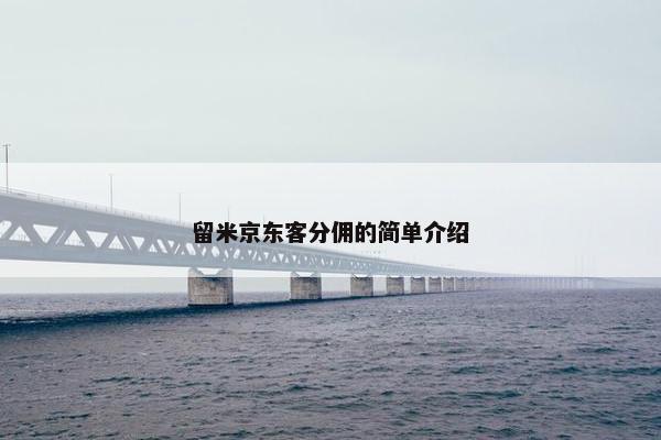 留米京东客分佣的简单介绍