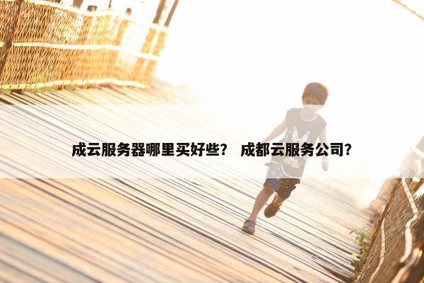 成云服务器哪里买好些？ 成都云服务公司？