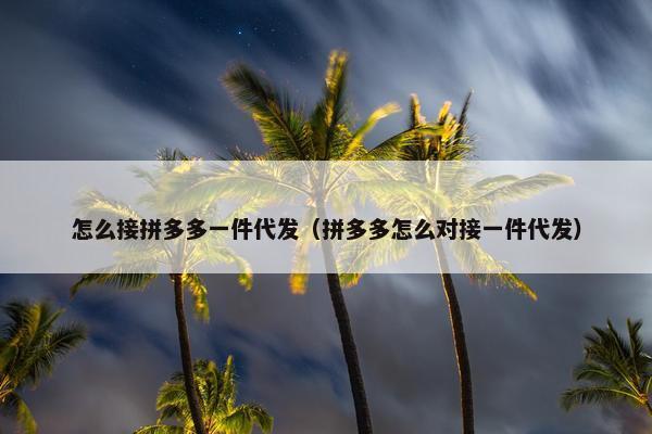 怎么接拼多多一件代发（拼多多怎么对接一件代发）