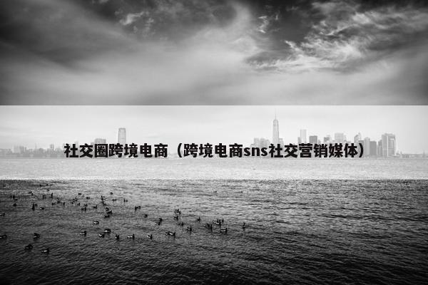 社交圈跨境电商（跨境电商sns社交营销媒体）