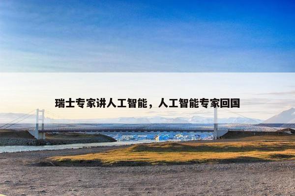 瑞士专家讲人工智能，人工智能专家回国