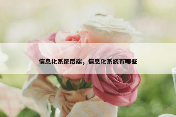 信息化系统后端，信息化系统有哪些