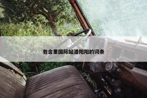 包含里国际站潘阳阳的词条