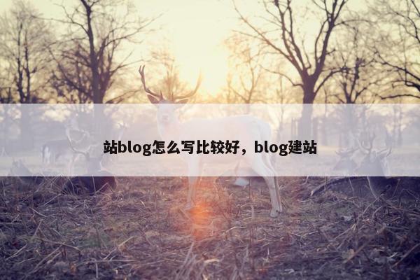 站blog怎么写比较好，blog建站