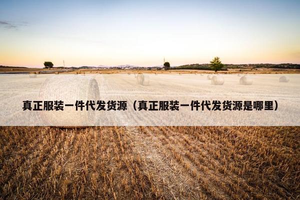 真正服装一件代发货源（真正服装一件代发货源是哪里）