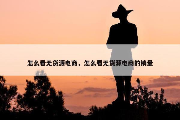 怎么看无货源电商，怎么看无货源电商的销量