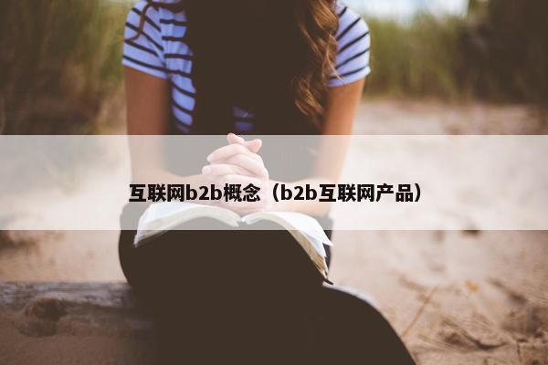 互联网b2b概念（b2b互联网产品）