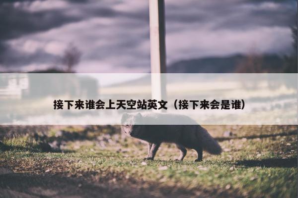 接下来谁会上天空站英文（接下来会是谁）