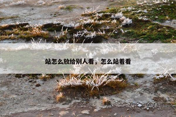 站怎么放给别人看，怎么站着看