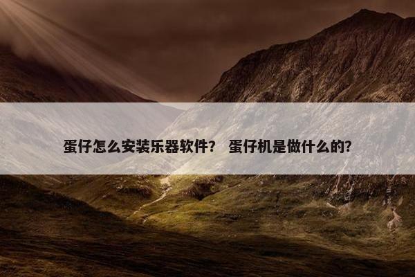 蛋仔怎么安装乐器软件？ 蛋仔机是做什么的？