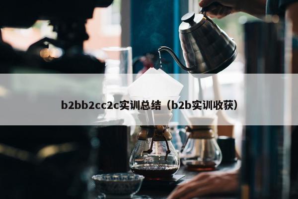 b2bb2cc2c实训总结（b2b实训收获）