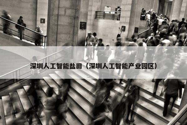 深圳人工智能盐田（深圳人工智能产业园区）