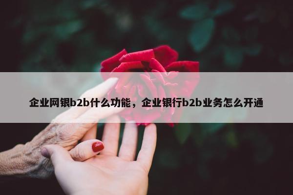 企业网银b2b什么功能，企业银行b2b业务怎么开通