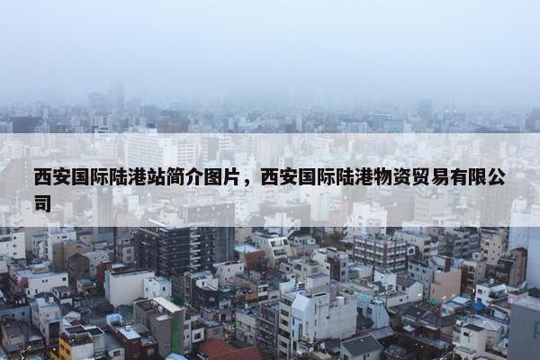 西安国际陆港站简介图片，西安国际陆港物资贸易有限公司