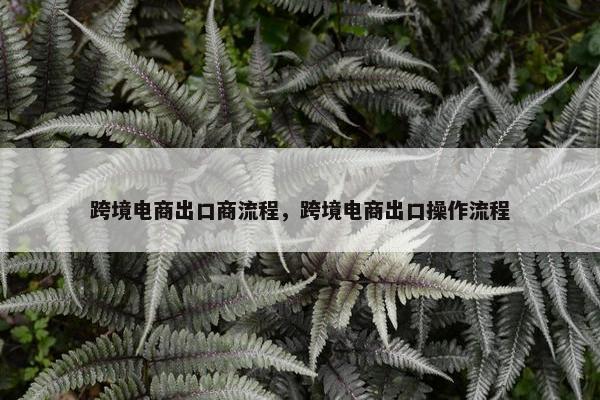 跨境电商出口商流程，跨境电商出口操作流程