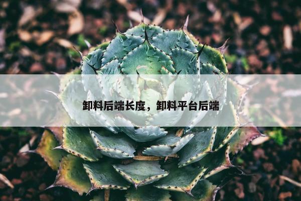 卸料后端长度，卸料平台后端