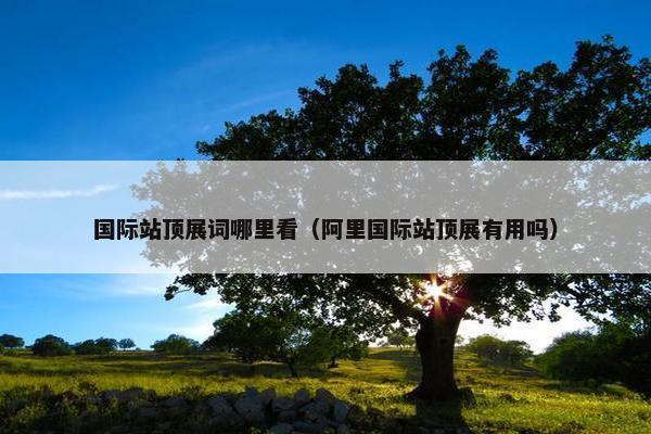 国际站顶展词哪里看（阿里国际站顶展有用吗）