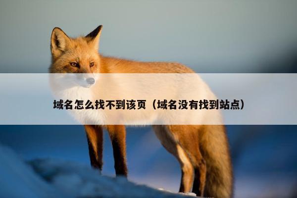 域名怎么找不到该页（域名没有找到站点）