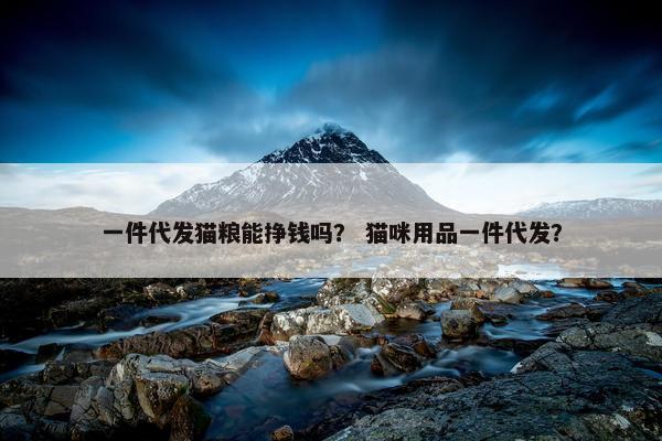 一件代发猫粮能挣钱吗？ 猫咪用品一件代发？