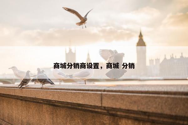 商城分销商设置，商城 分销